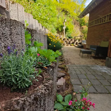 2 Fluesse Mit Dachterrasse Fuer 6 Gaeste Und Max 2 Hunde In 1a Lage *