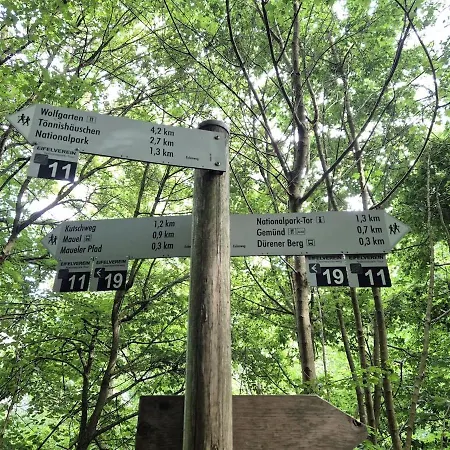 아파트 2 Fluesse Mit Dachterrasse Fuer 6 Gaeste Und Max 2 Hunde In 1a Lage *