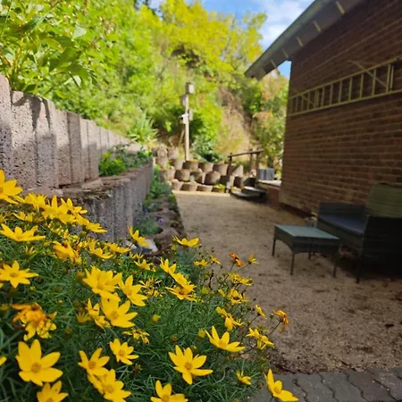 2 Fluesse Mit Dachterrasse Fuer 6 Gaeste Und Max 2 Hunde In 1a Lage 아파트