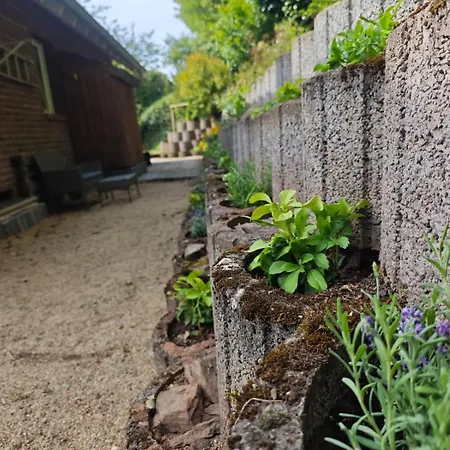 아파트 2 Fluesse Mit Dachterrasse Fuer 6 Gaeste Und Max 2 Hunde In 1a Lage 슈라이덴