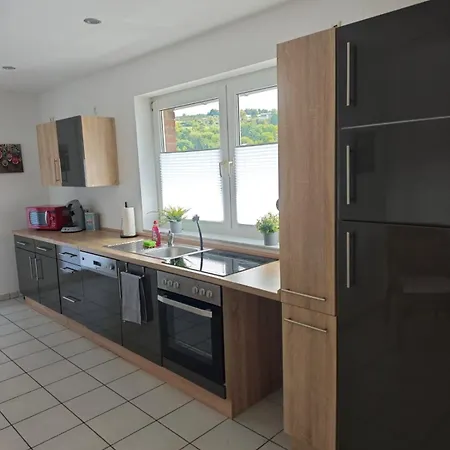 아파트 2 Fluesse Mit Dachterrasse Fuer 6 Gaeste Und Max 2 Hunde In 1a Lage 슈라이덴