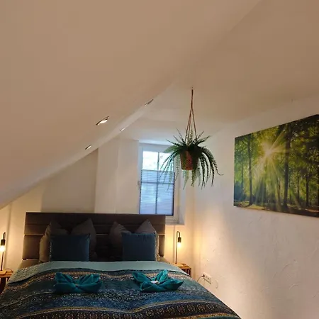 아파트 2 Fluesse Mit Dachterrasse Fuer 6 Gaeste Und Max 2 Hunde In 1a Lage