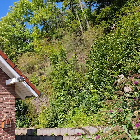 아파트 2 Fluesse Mit Dachterrasse Fuer 6 Gaeste Und Max 2 Hunde In 1a Lage