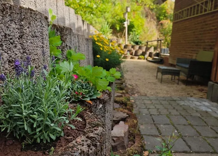 2 Fluesse Mit Dachterrasse Fuer 6 Gaeste Und Max 2 Hunde In 1a Lage *