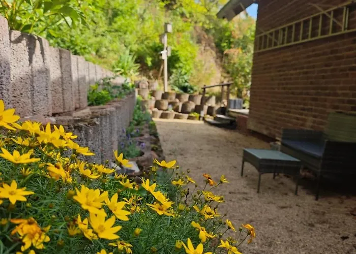 2 Fluesse Mit Dachterrasse Fuer 6 Gaeste Und Max 2 Hunde In 1a Lage Апартаменты