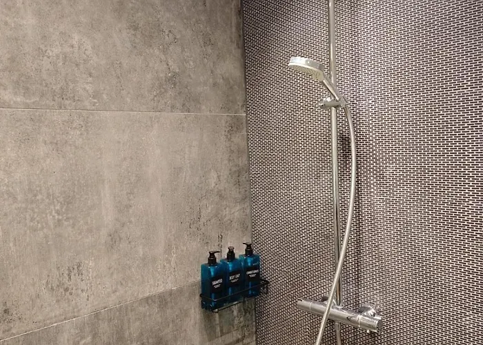 2 Fluesse Mit Dachterrasse Fuer 6 Gaeste Und Max 2 Hunde In 1a Lage