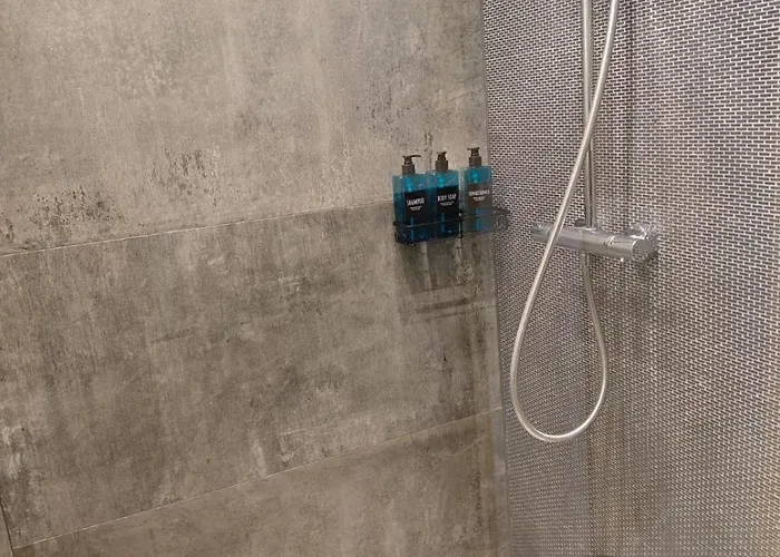 2 Fluesse Mit Dachterrasse Fuer 6 Gaeste Und Max 2 Hunde In 1a Lage * Шляйден