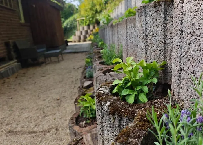 Апартаменты 2 Fluesse Mit Dachterrasse Fuer 6 Gaeste Und Max 2 Hunde In 1a Lage Шляйден