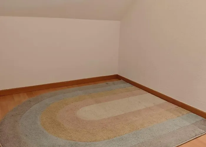 2 Fluesse Mit Dachterrasse Fuer 6 Gaeste Und Max 2 Hunde In 1a Lage *