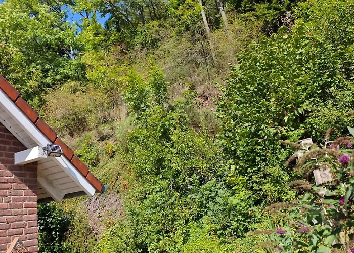 Апартаменты 2 Fluesse Mit Dachterrasse Fuer 6 Gaeste Und Max 2 Hunde In 1a Lage